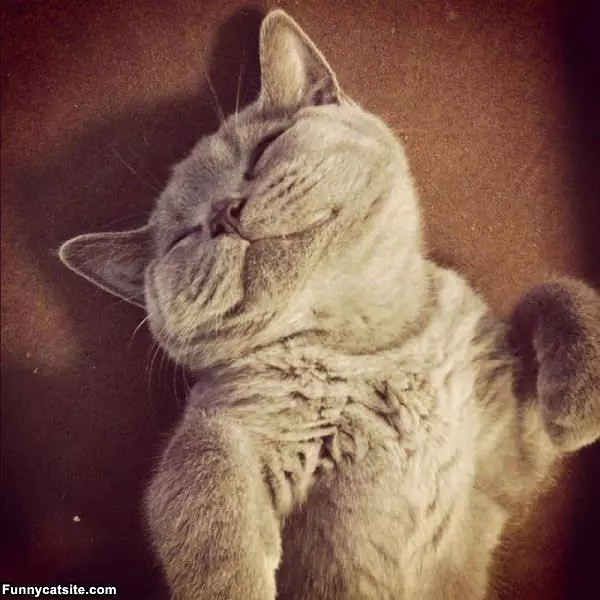 How I Sleeps