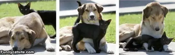 We Are Buds