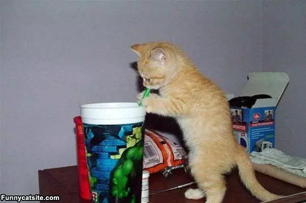 Just A Little Sip