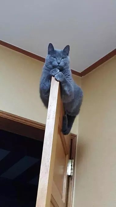 A Place To Hang Out