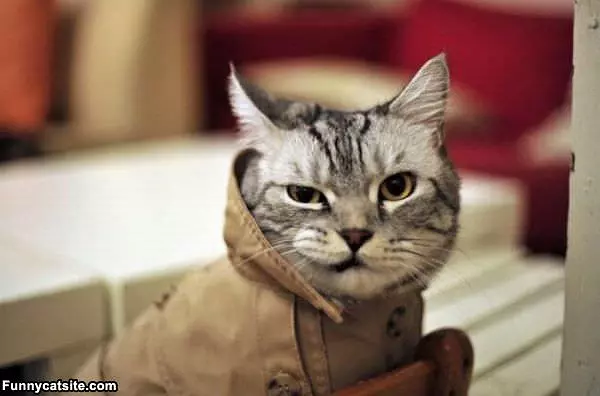 Rain Coat