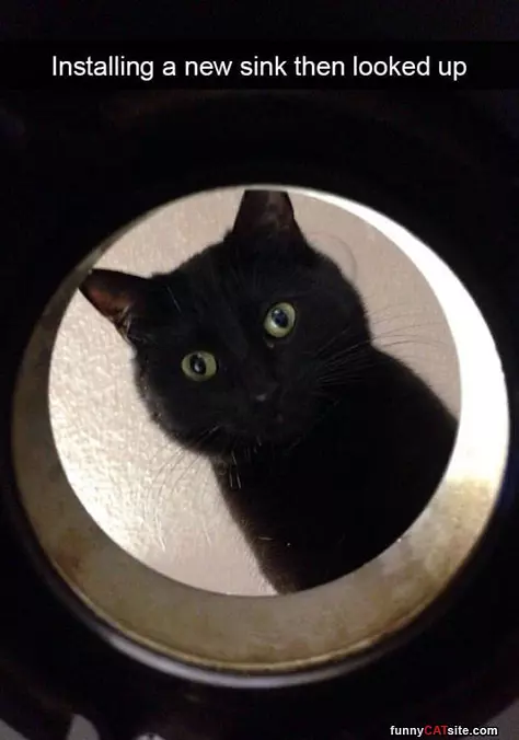 Installing A New Sink