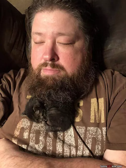 Beard Kitty