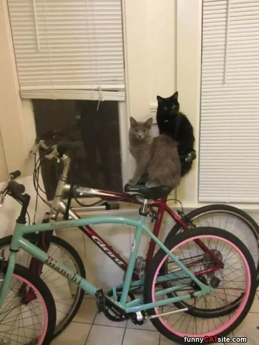 Time For A Bike Ride