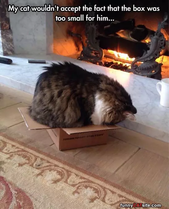 Will Not Accept