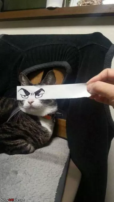 Mad Eyes