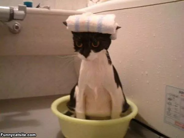 Stupid Bath Time