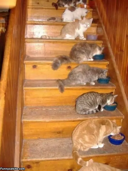 Steps Time