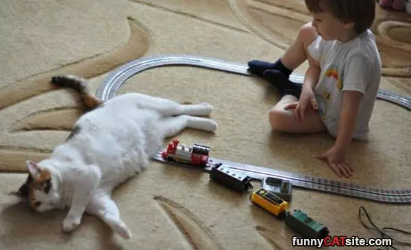 Train Stops Here
