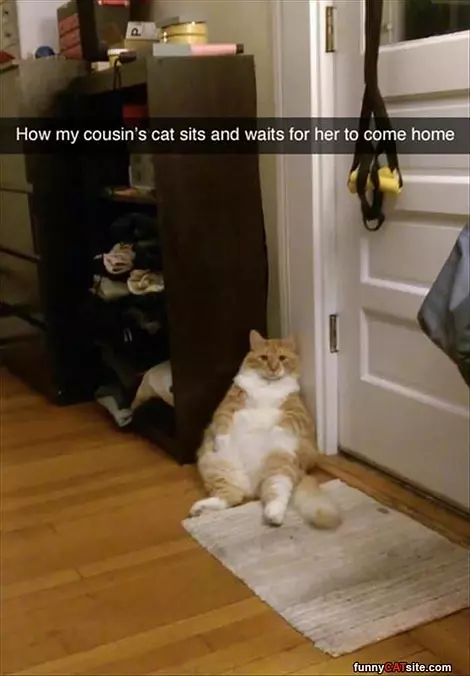 Waiting For Her To Come Home