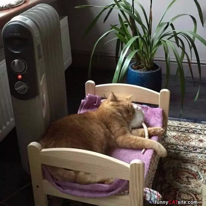 I Like It Warm