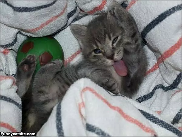 Wasssssssssup
