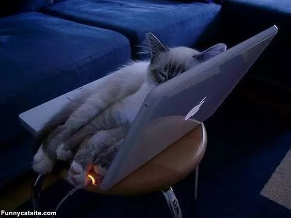 Laptop Is So Warm
