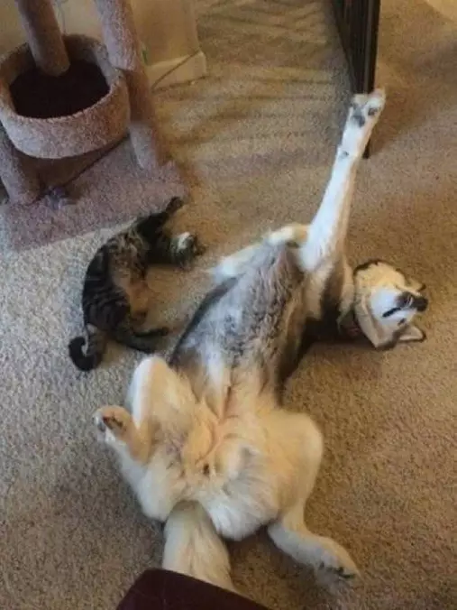 Yoga Time