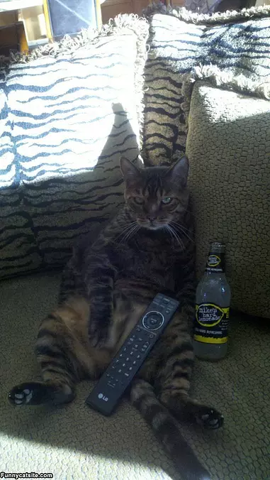 Chillin Watchin The Game