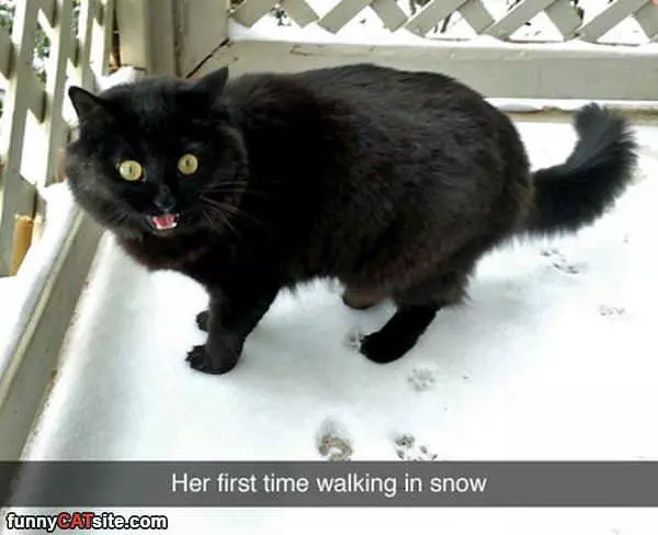 First Time In The Snow