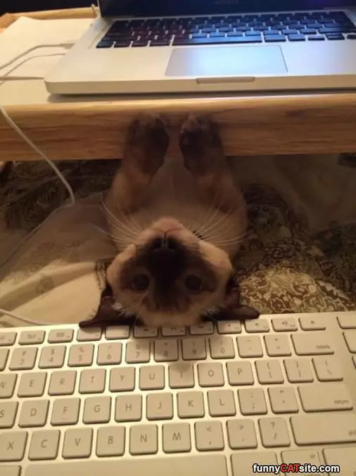 Hi There