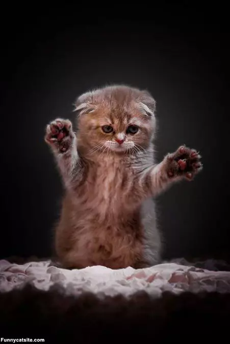 You Are Getting Sleepy