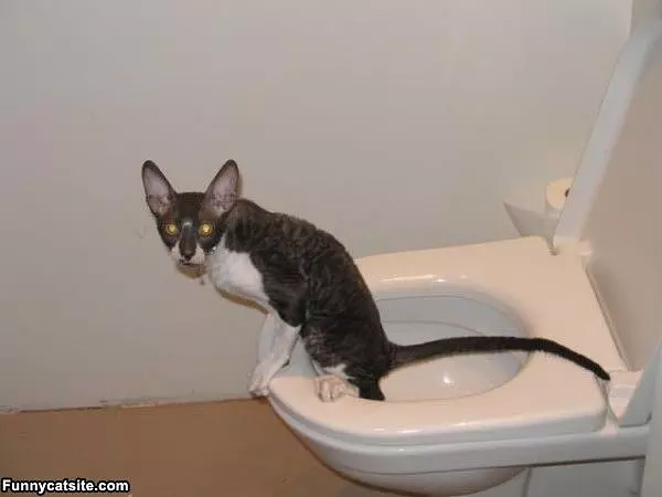 My Bathroom