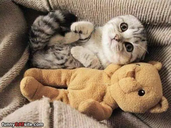 Really Being Cute