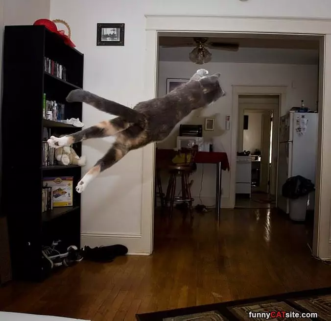 A Jumping Dive