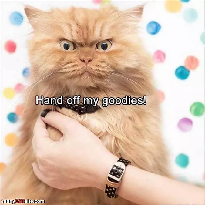 Hands Off