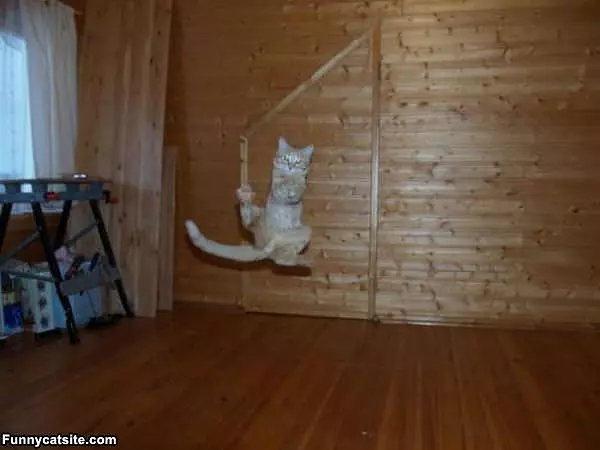 Caught It