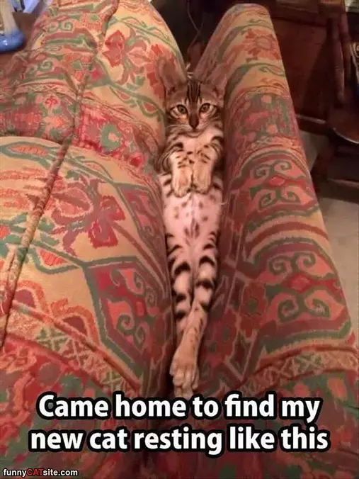 How I Rest