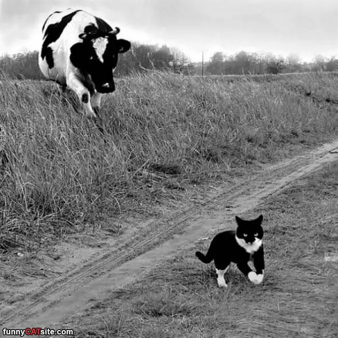I Better Run Faster