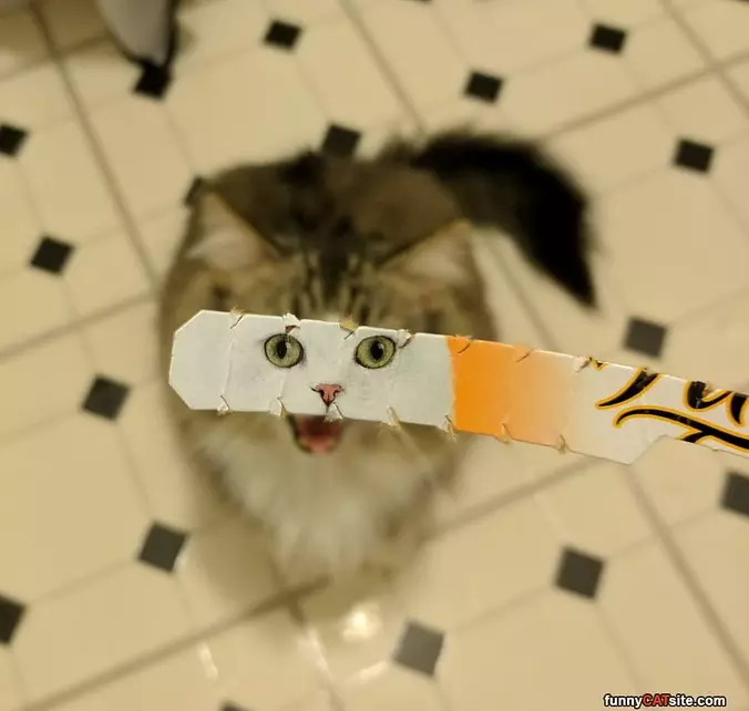 Eyyyyyyyyyyy