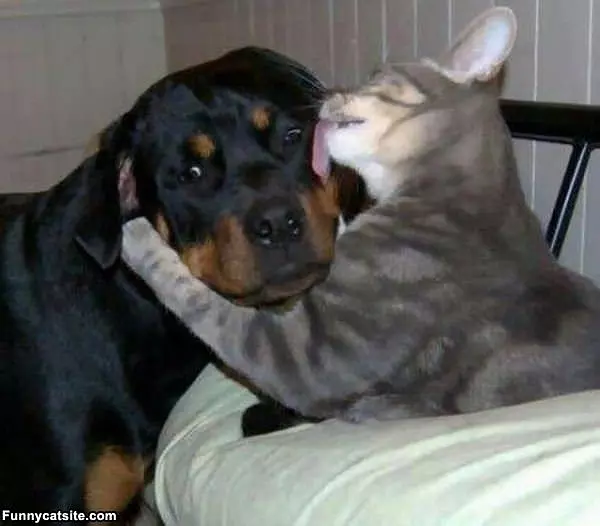 Let Me Help You Out Buddy