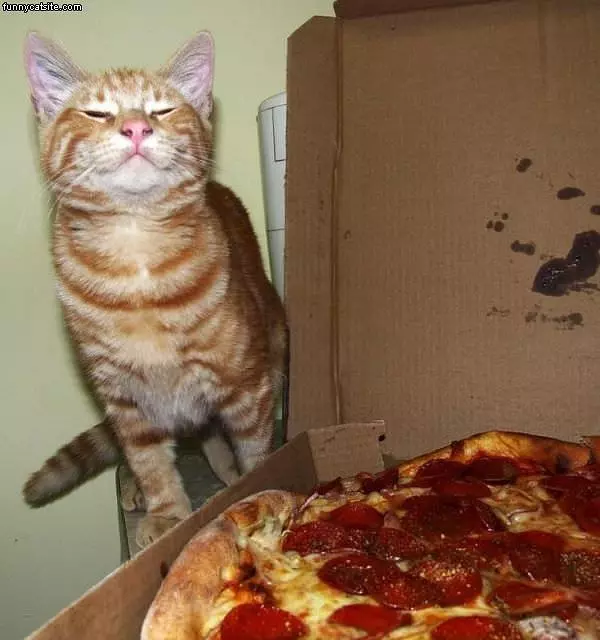 Good Pizza