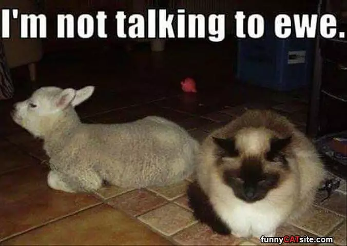 Not Talkign To You