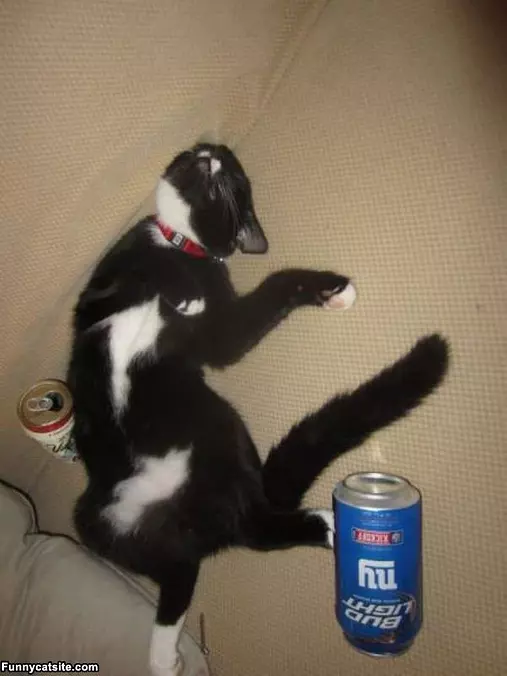 Too Many Beers
