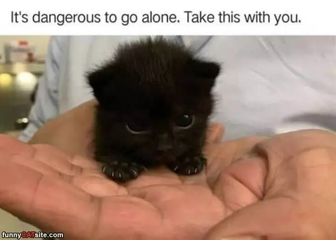 Take This With You