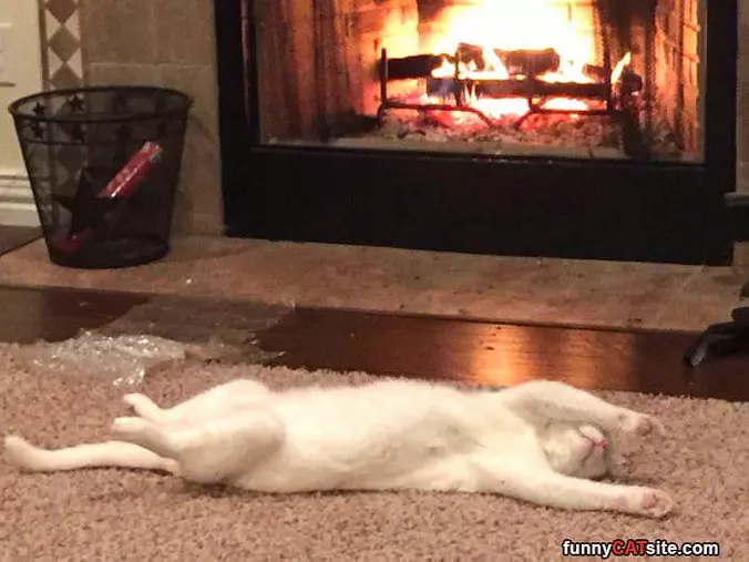 Found The Best Spot