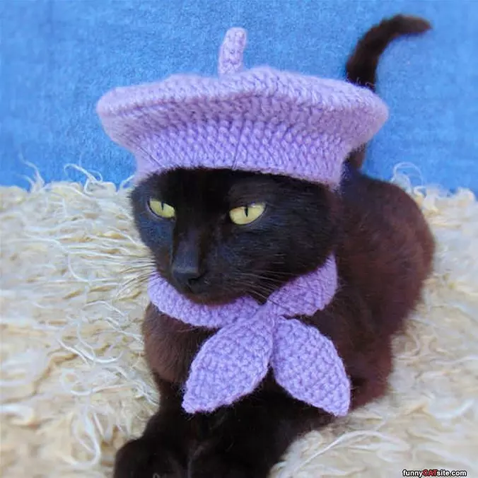Purple Hat