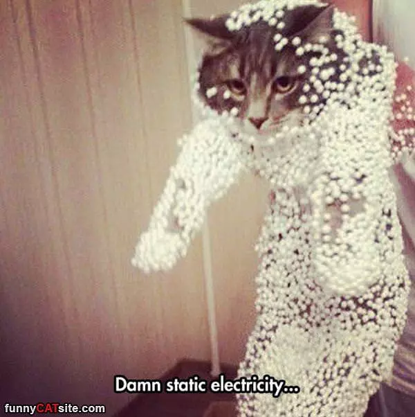 Static Electricity