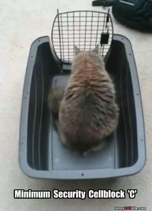 Minimum Security