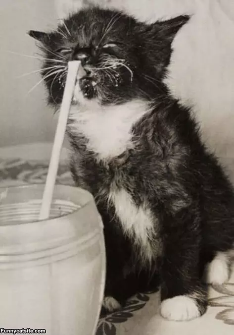 Soo Thirsty