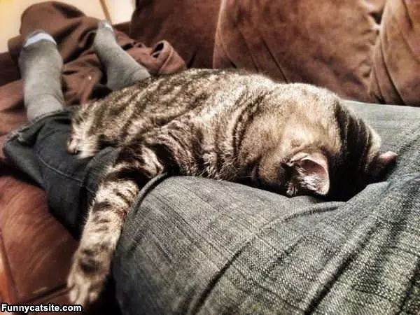 I Am Just Going To Sleep Here