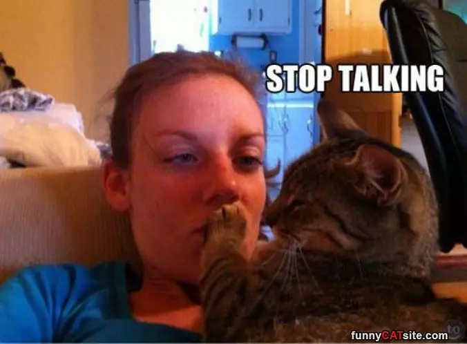 Stop Talking
