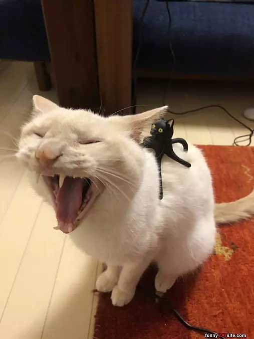 Get It Off