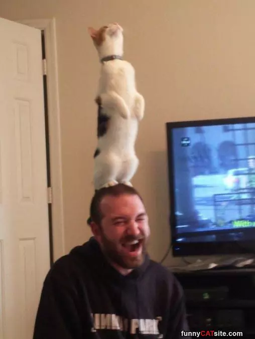 Higher Human