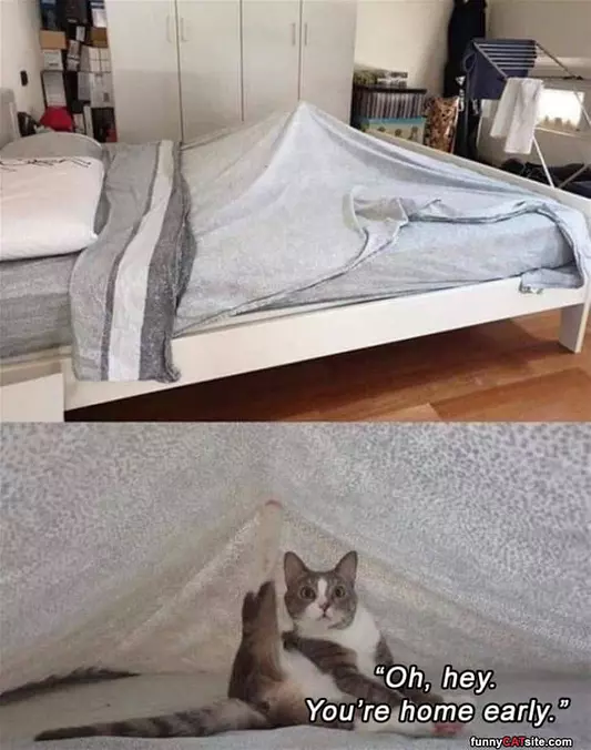 You Are Home Early