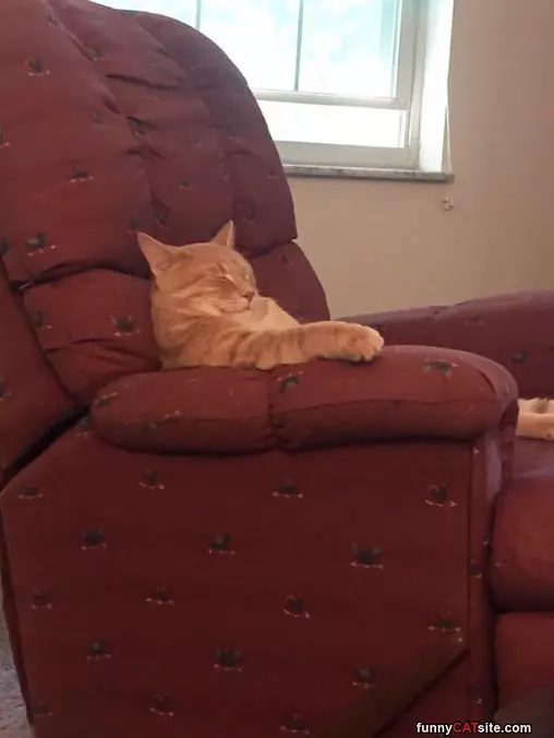 This Is The Lazy Boy