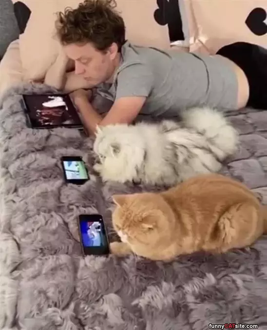 Watching Things