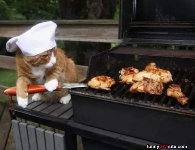 Cooking Some Chicken