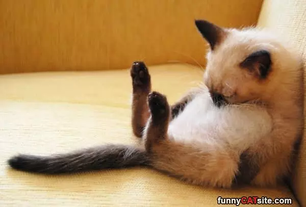 I Am Soooo Sleepy