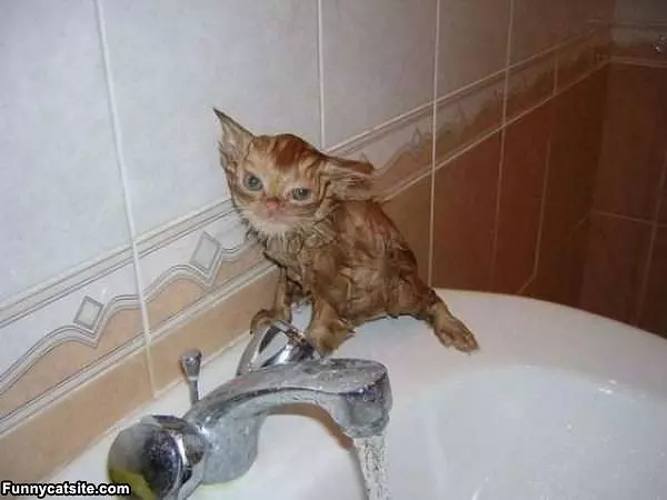 Playin In The Bath